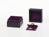 cbara0201purple-u1ribbon-open